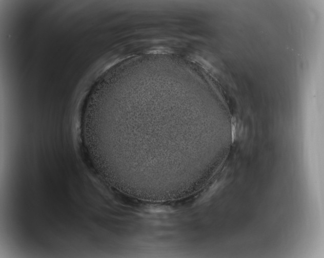 X0000088700339200706141434
