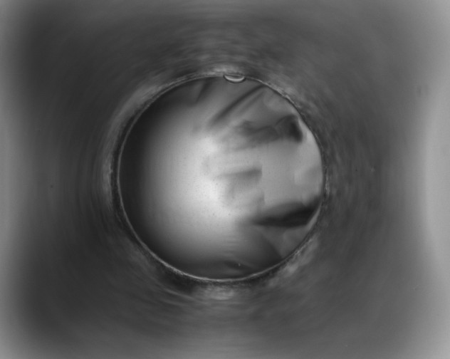 X0000088700341200706141434