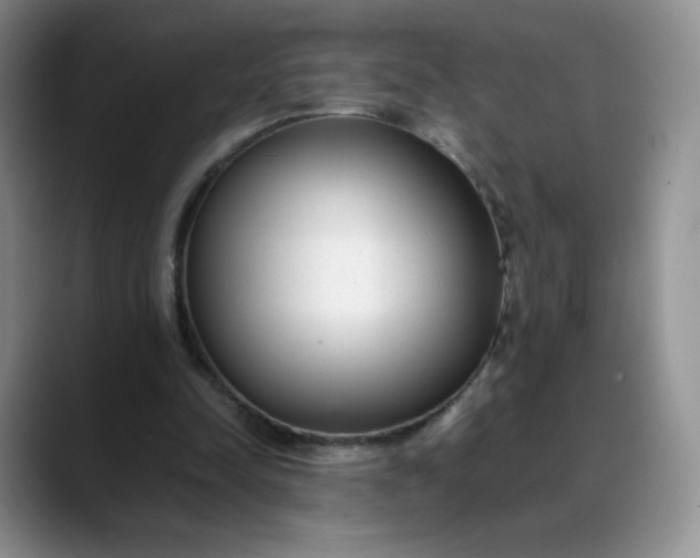 X0000088700342200706141434