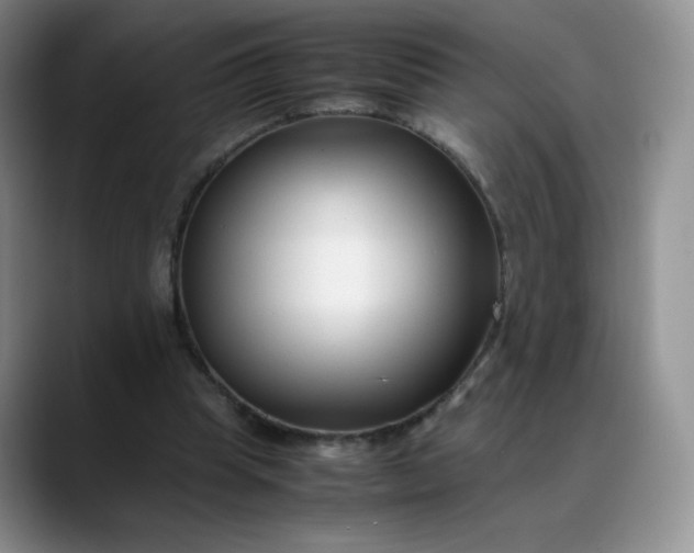 X0000088700345200706141434