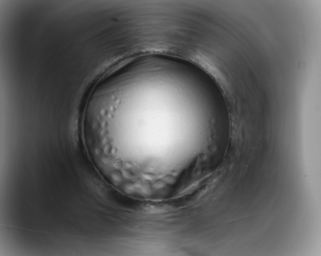 X0000088700346200706141434