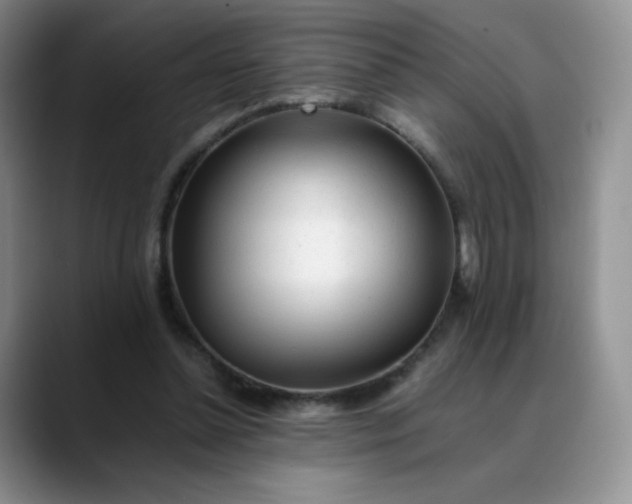 X0000088700348200706141434