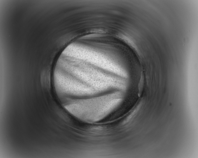 X0000088700349200706141434
