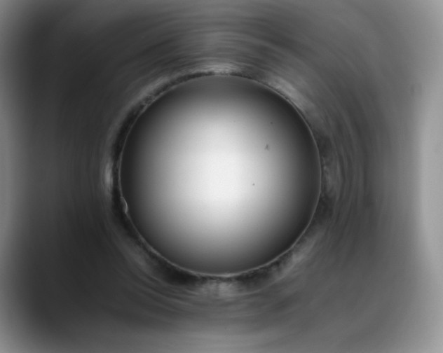 X0000088700350200706141434