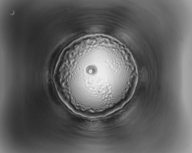 X0000088700351200706141434