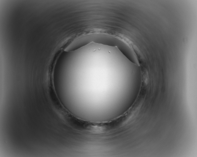 X0000088700352200706141434