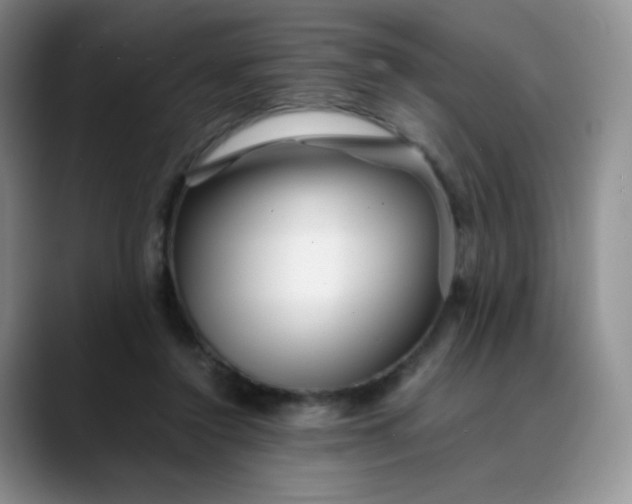 X0000088700356200706141434
