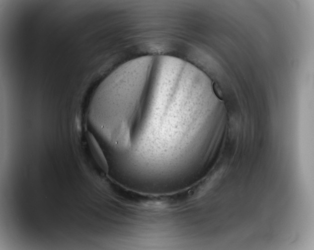 X0000088700358200706141434