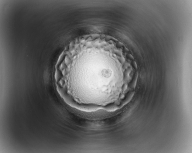 X0000088700359200706141434