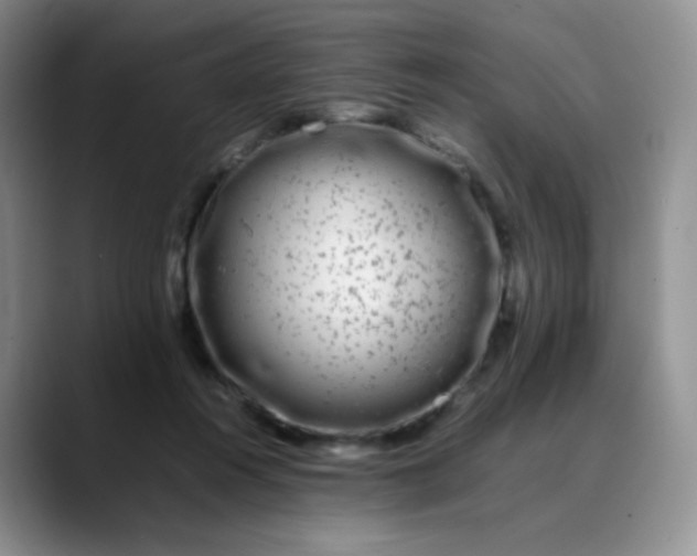 X0000088700360200706141434