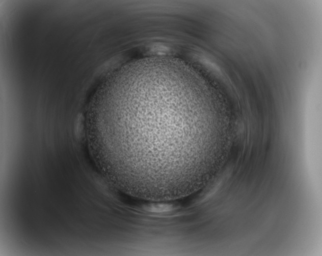 X0000088700361200706141434