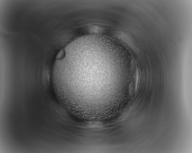 X0000088700363200706141434