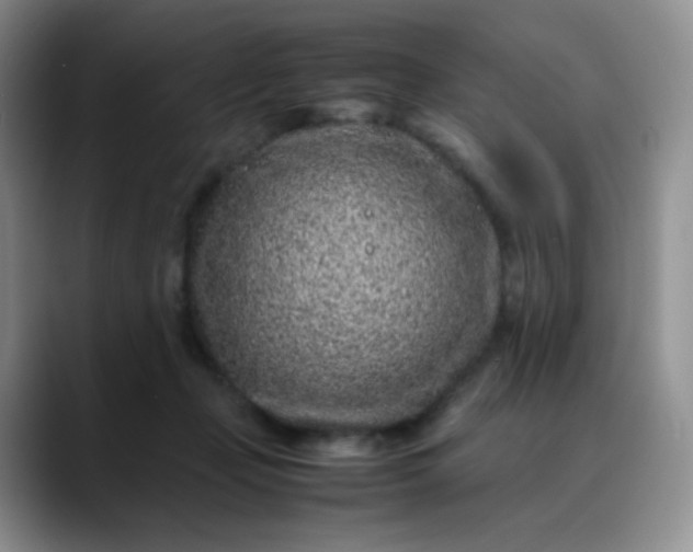X0000088700365200706141434