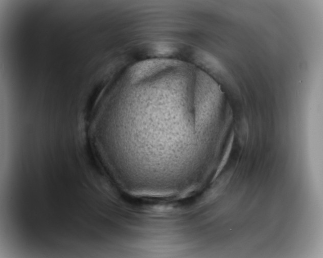 X0000088700366200706141434