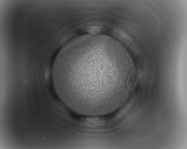 X0000088700367200706141434