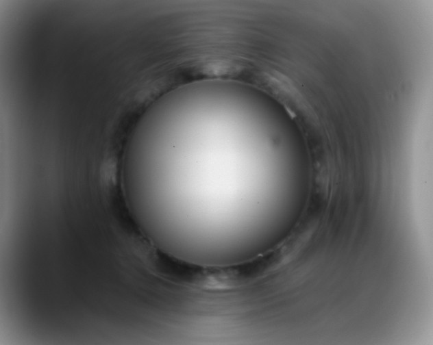X0000088700368200706141434