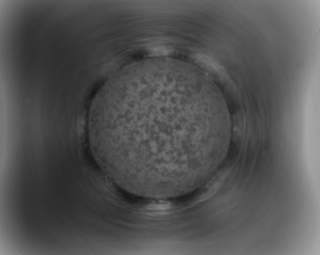 X0000088700369200706141434