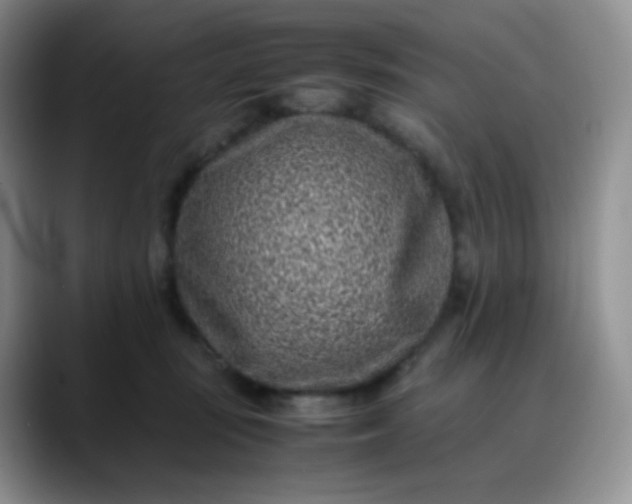 X0000088700371200706141434