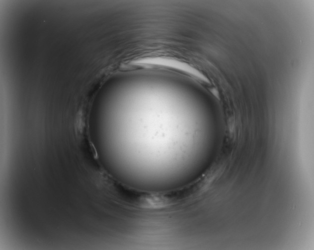 X0000088700372200706141434