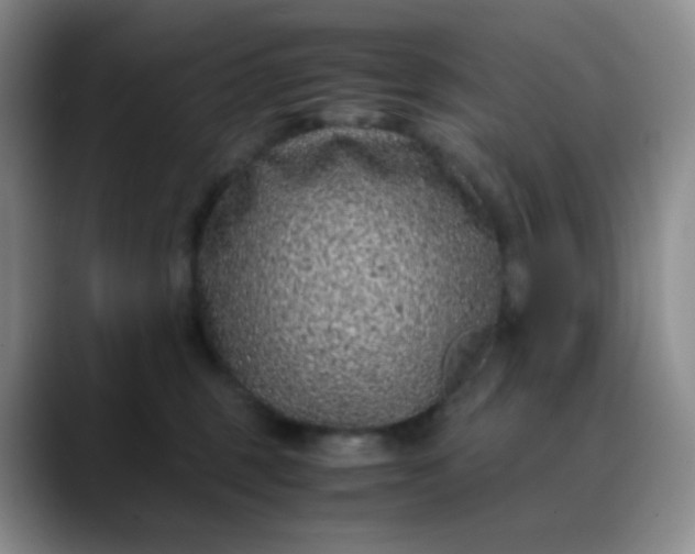 X0000088700375200706141434