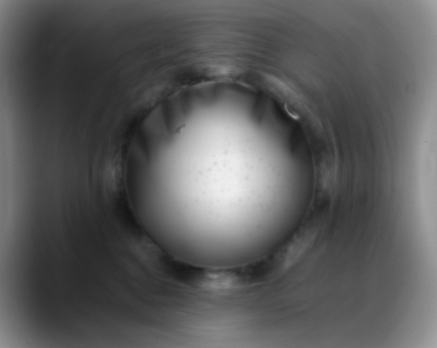 X0000088700376200706141434