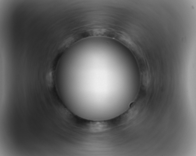 X0000088700378200706141434