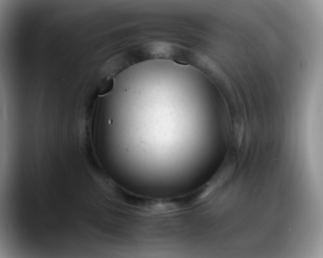 X0000088700379200706141434