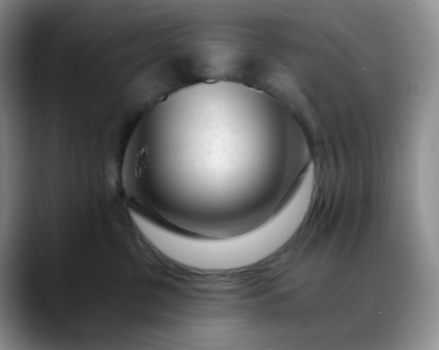 X0000088700380200706141434