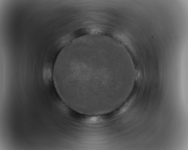X0000088700382200706141434