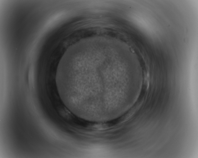 X0000088700383200706141434