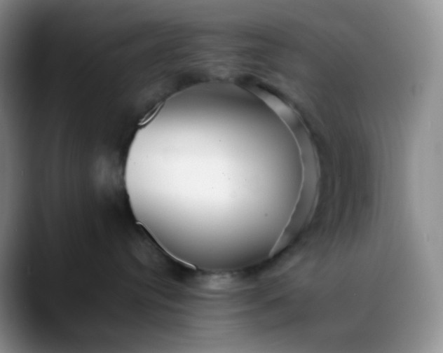 X0000088700384200706141434