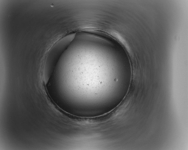 X0000088700385200706141434