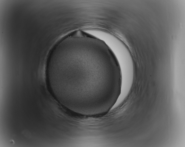 X0000088700387200706141434