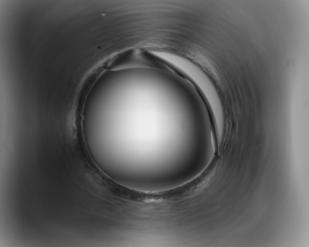X0000088700388200706141434