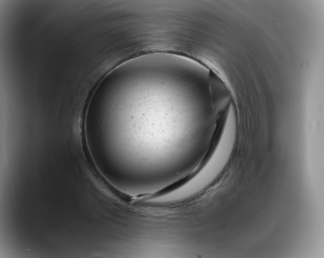 X0000088700389200706141434