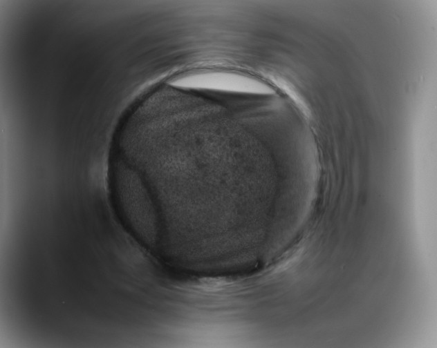 X0000088700391200706141434