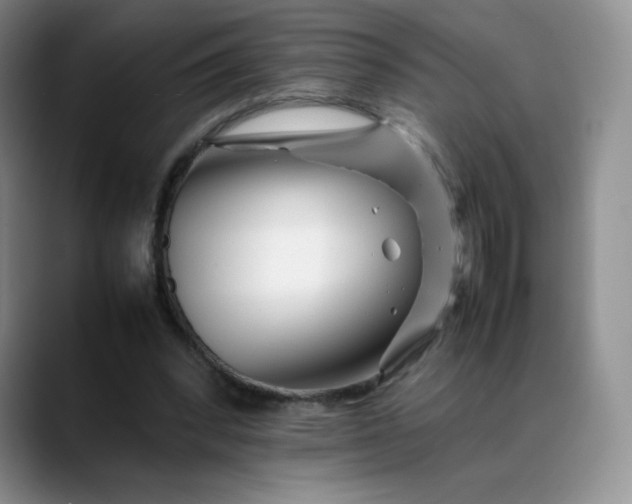 X0000088700392200706141434