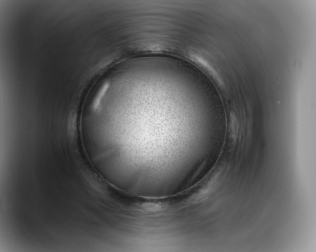 X0000088700394200706141434