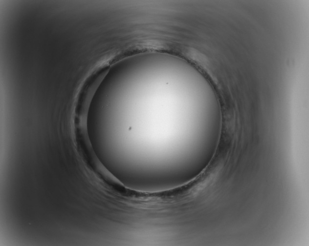 X0000088700395200706141434