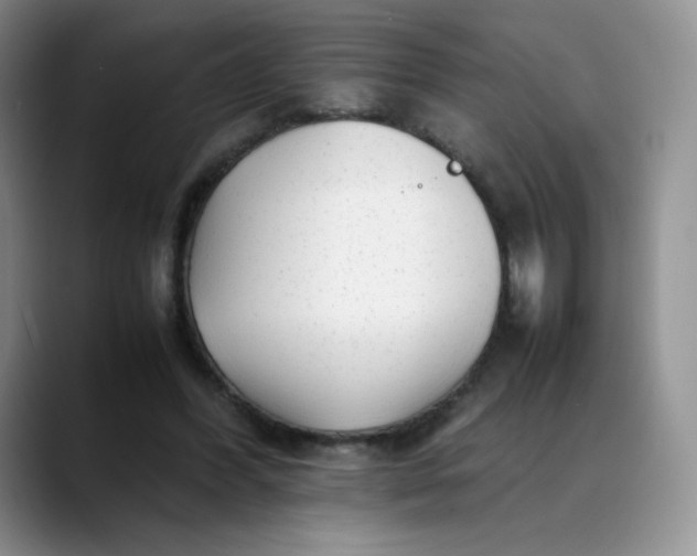 X0000088700396200706141434