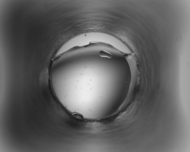 X0000088700397200706141434