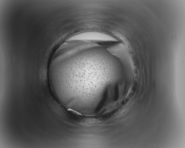 X0000088700399200706141434