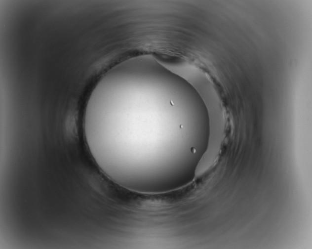 X0000088700400200706141434