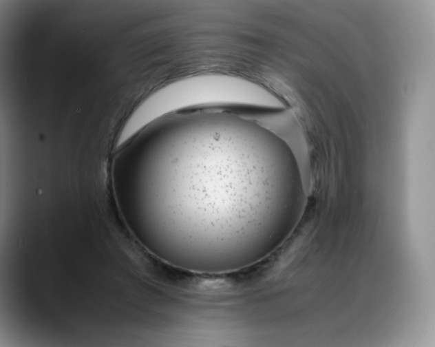 X0000088700401200706141434