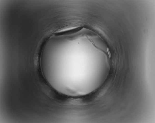 X0000088700403200706141434