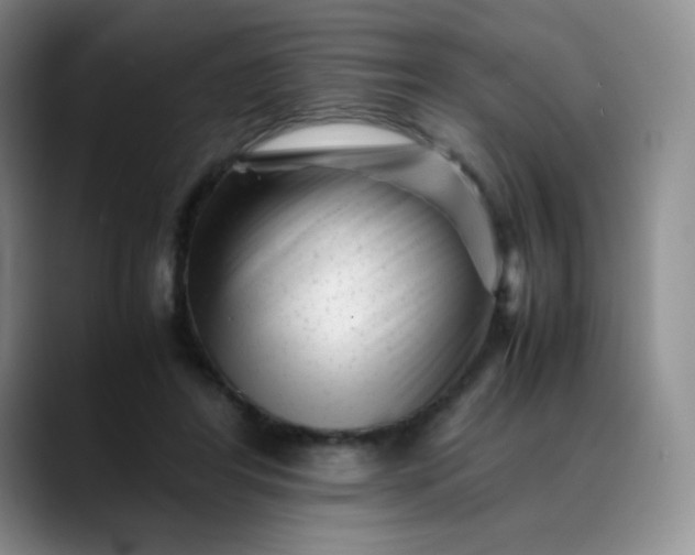 X0000088700404200706141434