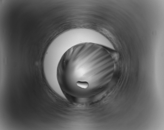 X0000088700405200706141434