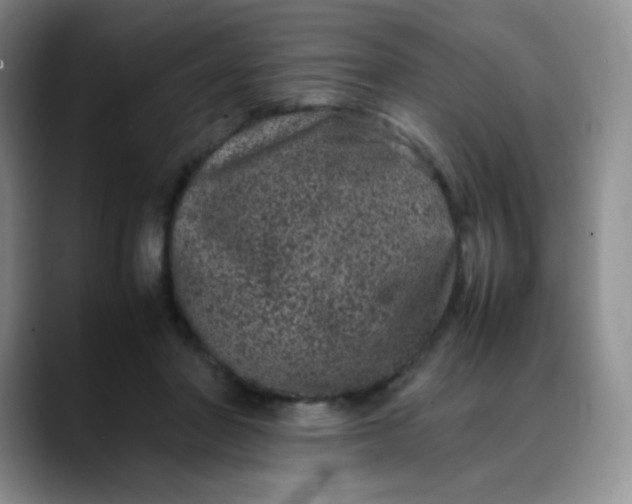 X0000088700406200706141434