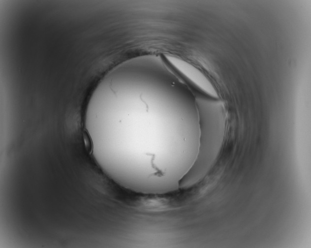 X0000088700407200706141434