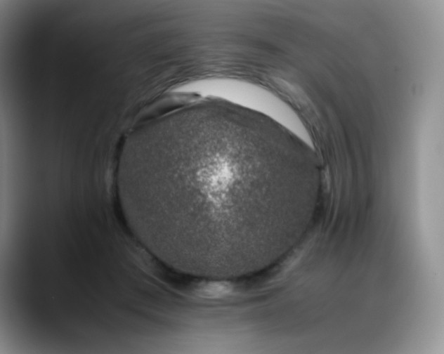 X0000088700409200706141434